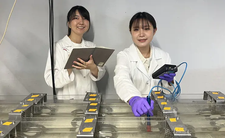 Scientists from Japan at the Ecotox Centre