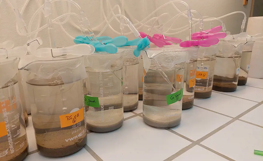 Use of bioassays to assess sediment quality. Preparatory study for phase 2 of the sediment module.