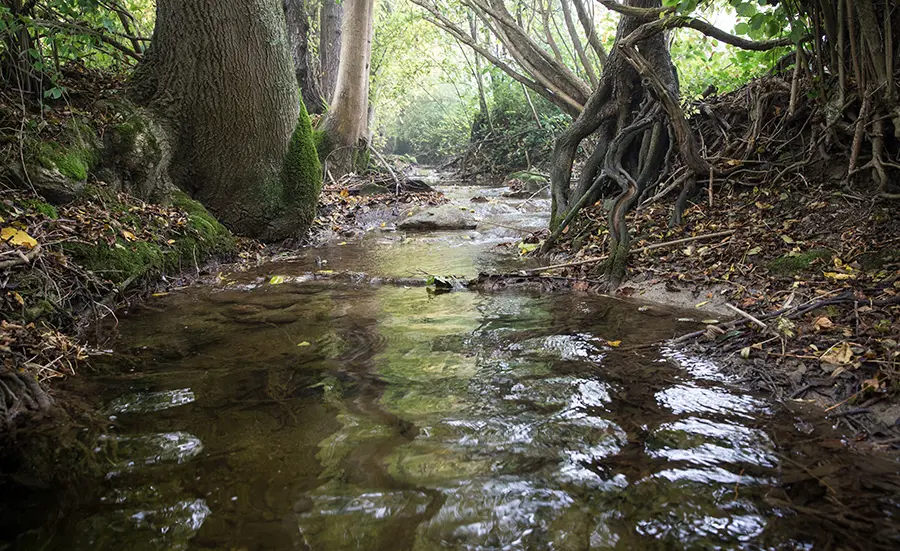 Pesticides in Swiss streams: much remains to be done