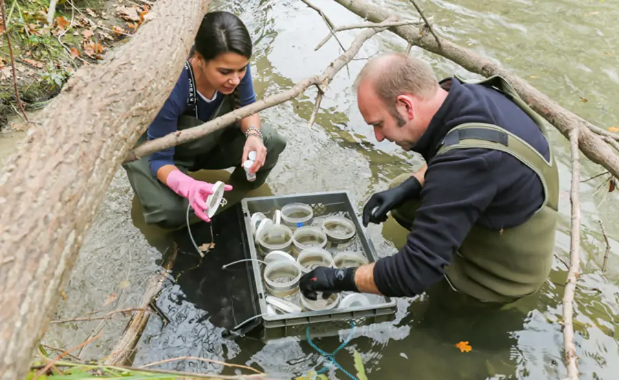 Ecotoxicological assessment of sediments from the Venoge