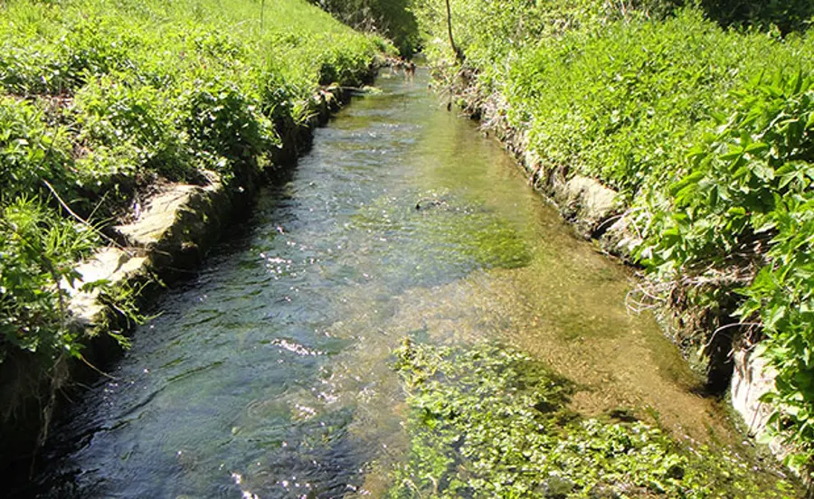Development of a Reliable Concept for Routine Assessment of Water Quality Based on Bioassays