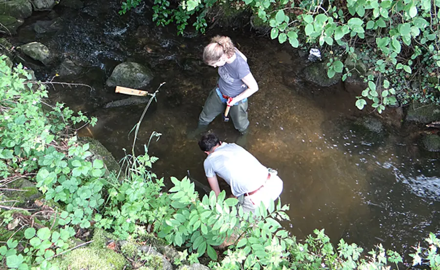 Rough evaluation of surface waters with a high effluent load using bioassays