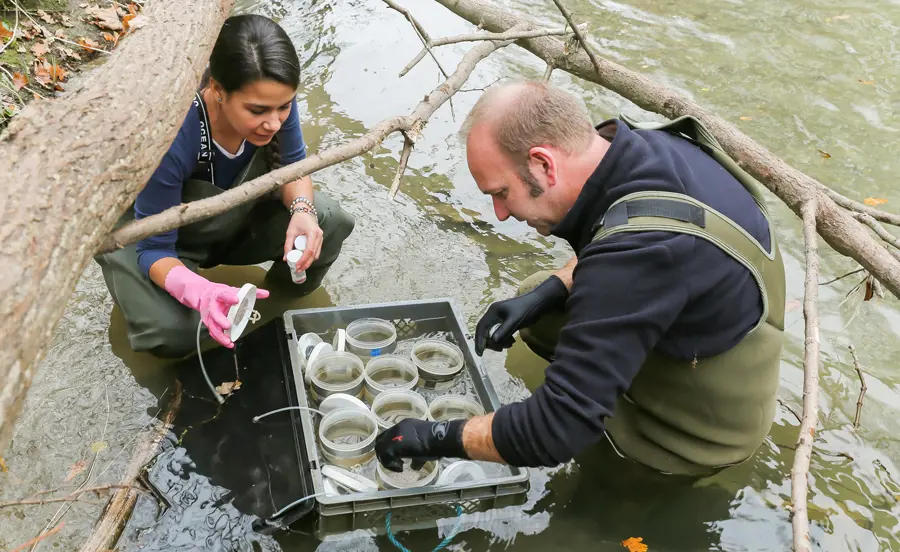 Sediment quality in the Venoge