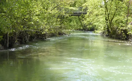 Determination of relevant exposure times for the assessment of water quality