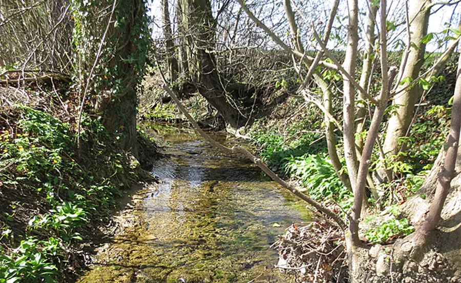 Persistently high pesticide levels found in small streams