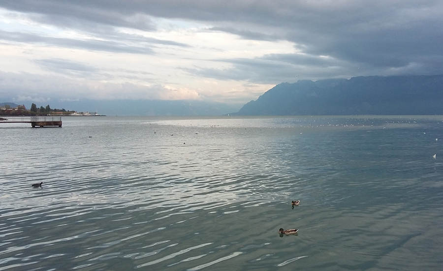 Do stormwater overflows in Lake Geneva contribute to sediment pollution?