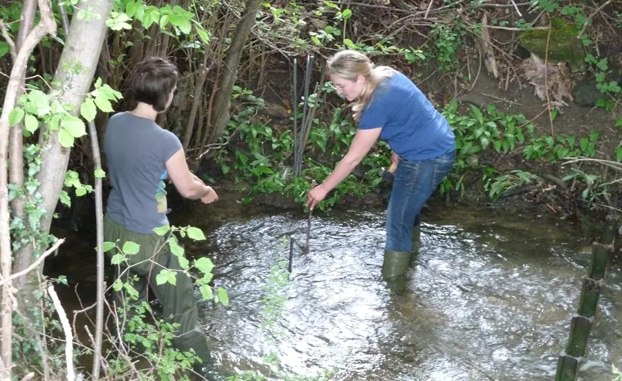 Ecotoxicological risks in small streams are high