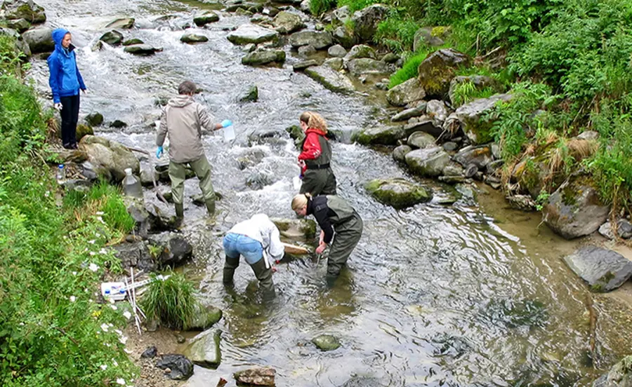 Ecosystem stress caused by micropollutants