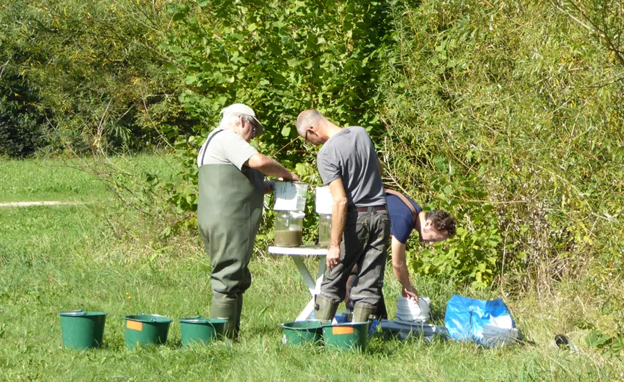 Progress in the assessment of sediment quality