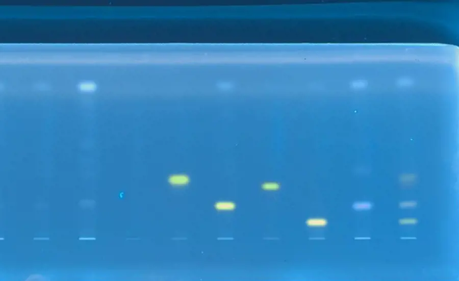 Combination of thin-layer chromatography, bioassays and mass spectrometry for detecting micropollutants in complex samples