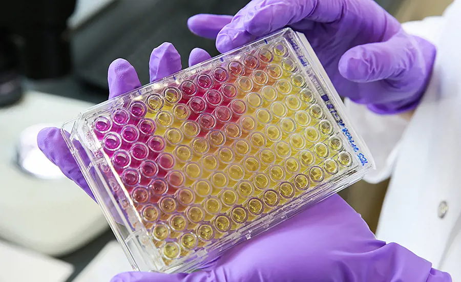 Bioassays for the assessment of water quality