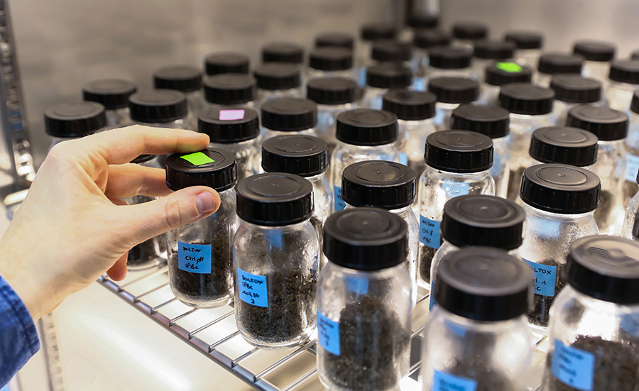 Soil ecotoxicology in Switzerland: Where are we and where do we want to go?