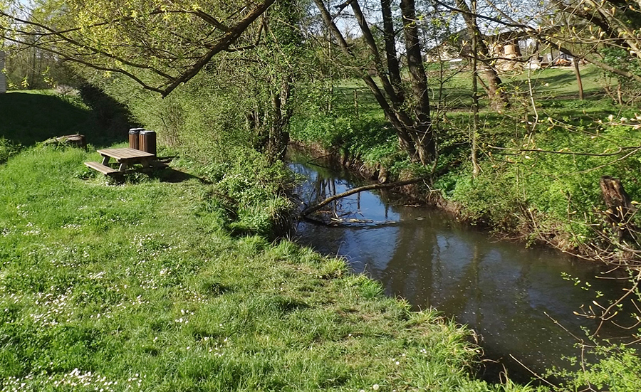 Structural and functional assessment of benthic microbial and invertebrate communities to evaluate the ecological quality of polluted rivers (CommuSED)