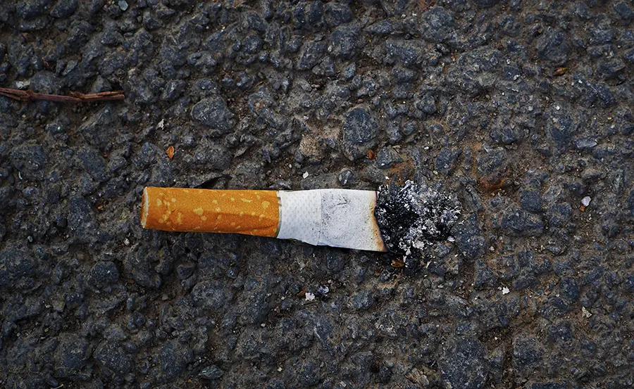 How toxic are cigarette butts?