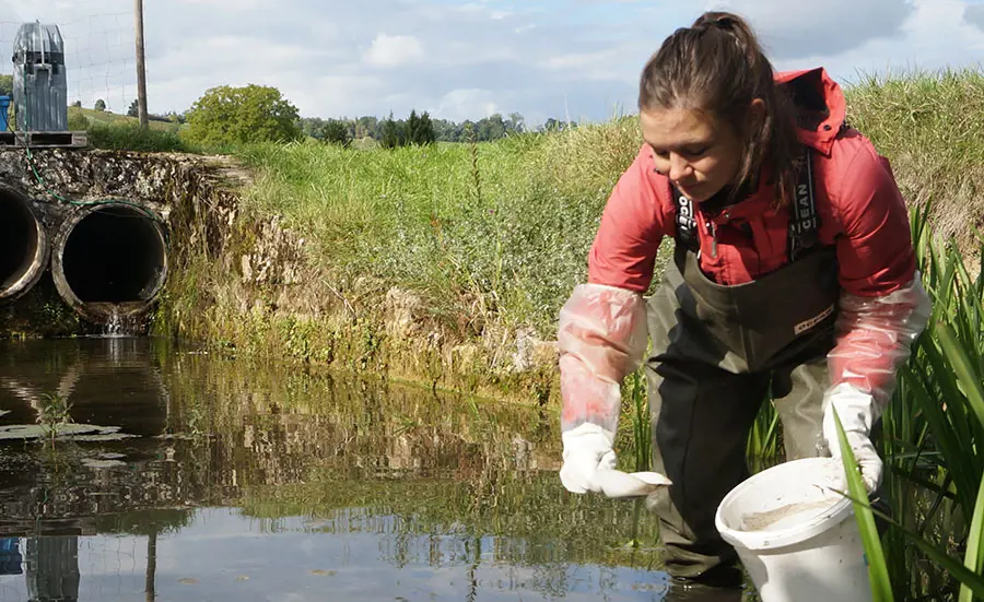 Ecotoxicological effects of pesticides in stream sediments