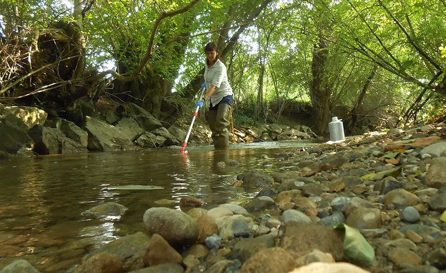 Few estrogens in Europe's rivers