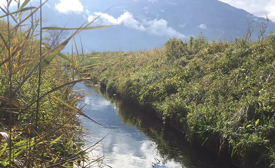 Assessment of sediment quality in artificial canals in Valais