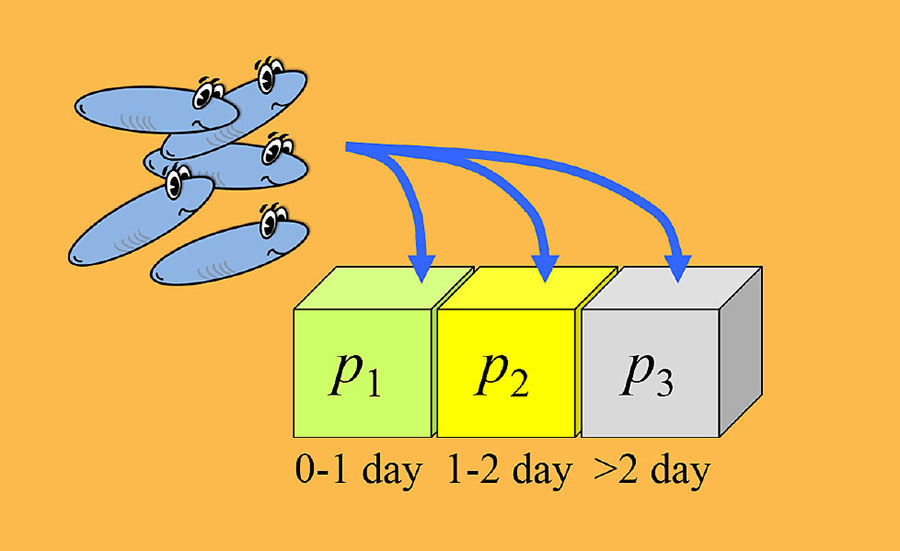 TKTD-modelling for dummies