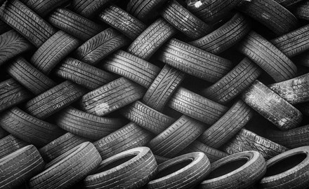 Ecotoxicity of tire wear particles (TirInFish)