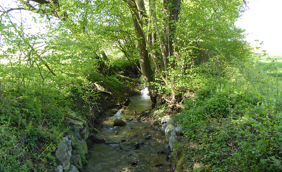 Less pesticides for streams in Thurgau