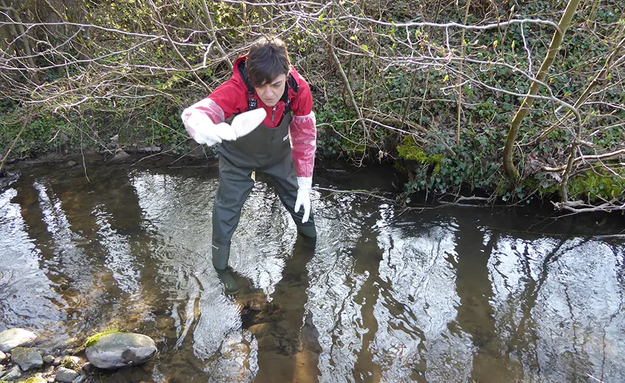 Strategy for assessing sediment quality in Switzerland