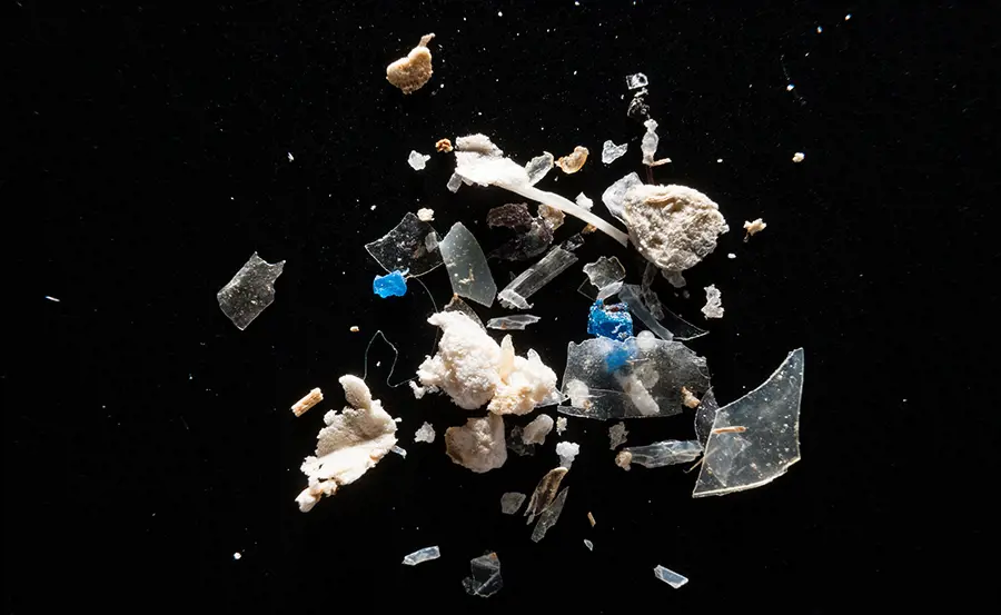 Microplastics in the environment: Public panel discussion, 26.1.21 at 19.00 (in German)