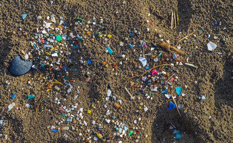 Microplastics in the environment