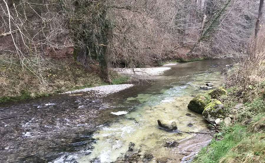 Assessment of the effects of wastewater treatment plant effluents on receiving streams using oligochaete communities