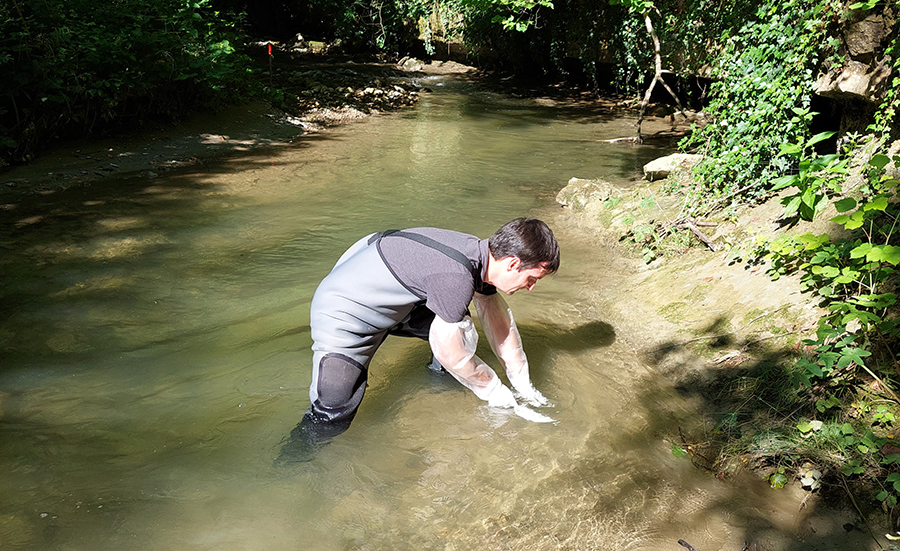 Monitoring the water quality of the Chamberonne 