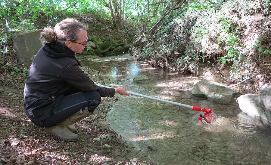 Development of a bioassay battery for assessing water quality