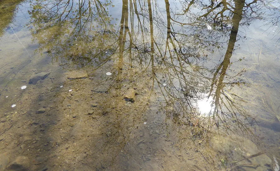 Pollutant monitoring in Swiss sediments