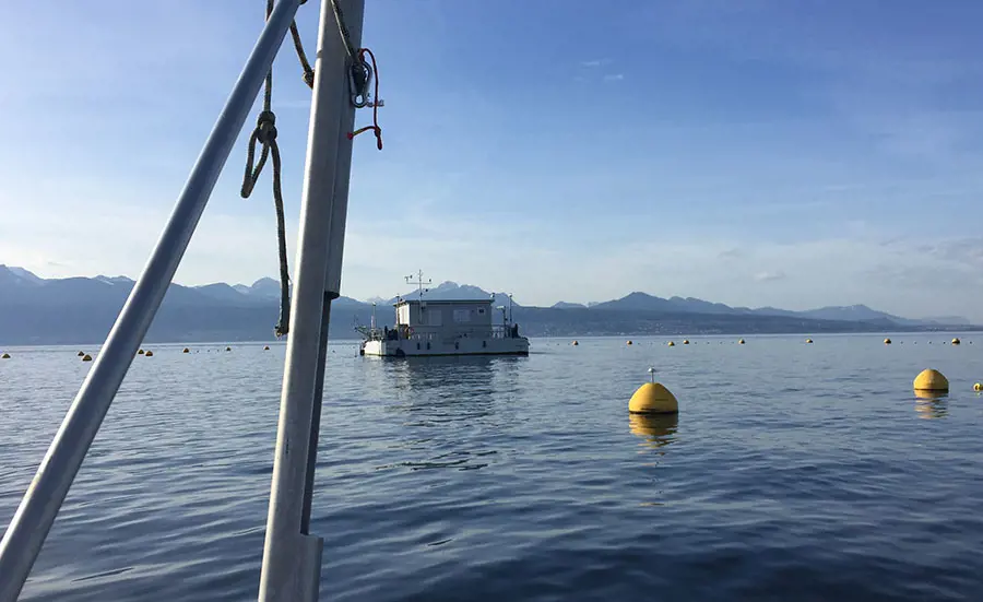 Chironomids measure suspended matter quality in Lake Geneva