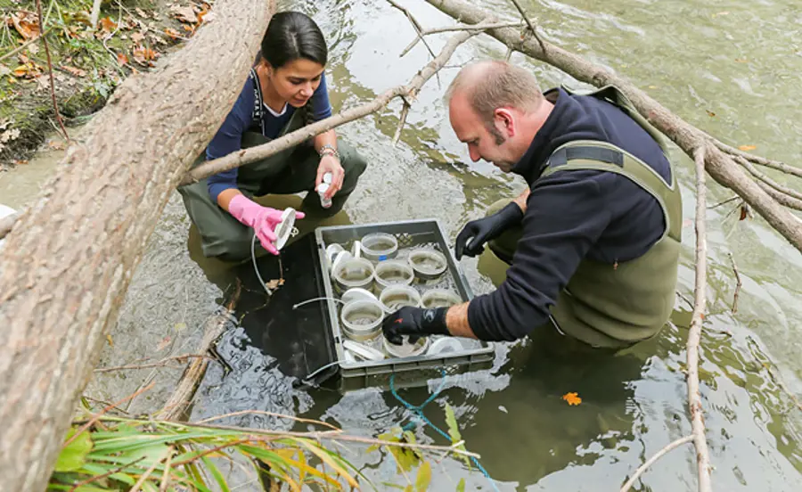 Sediment Ecotoxicology