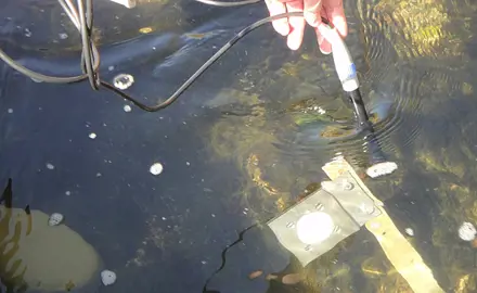 Integrated Water Quality Management for Streams and Rivers (iWaQa) - Information from Bioassays and Chemical Analyses