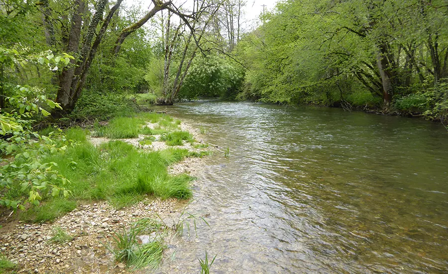 Water and sediment quality in the Suze