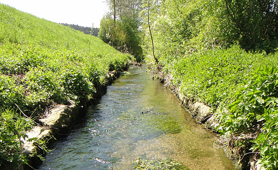 Quality Standards for Organic Trace Substances in Surface Water