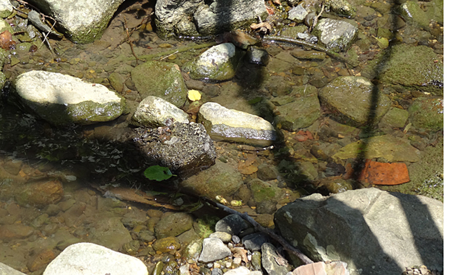 Assessment of sediment quality in the Modular Stepwise Procedure