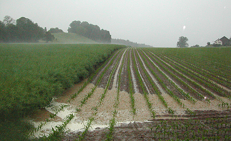 Evaluation concept for micropollutants from diffuse sources