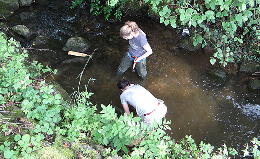 Rough evaluation of surface waters with a high effluent load using bioassays