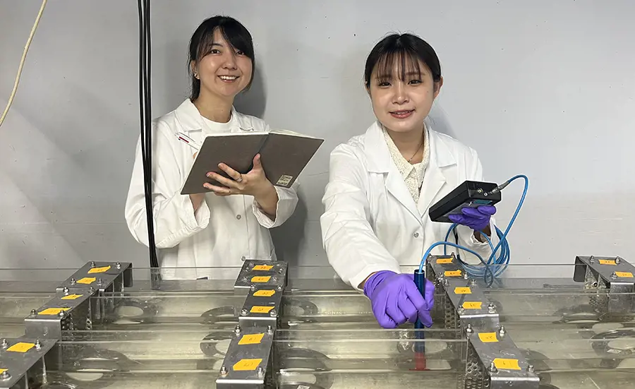 Scientists from Japan at the Ecotox Centre