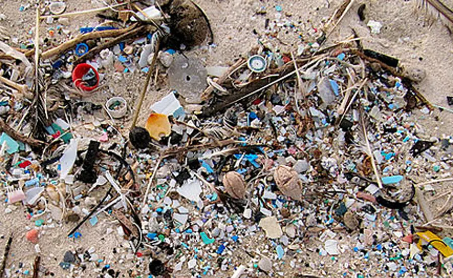 Info sheet on microplastics in the environment