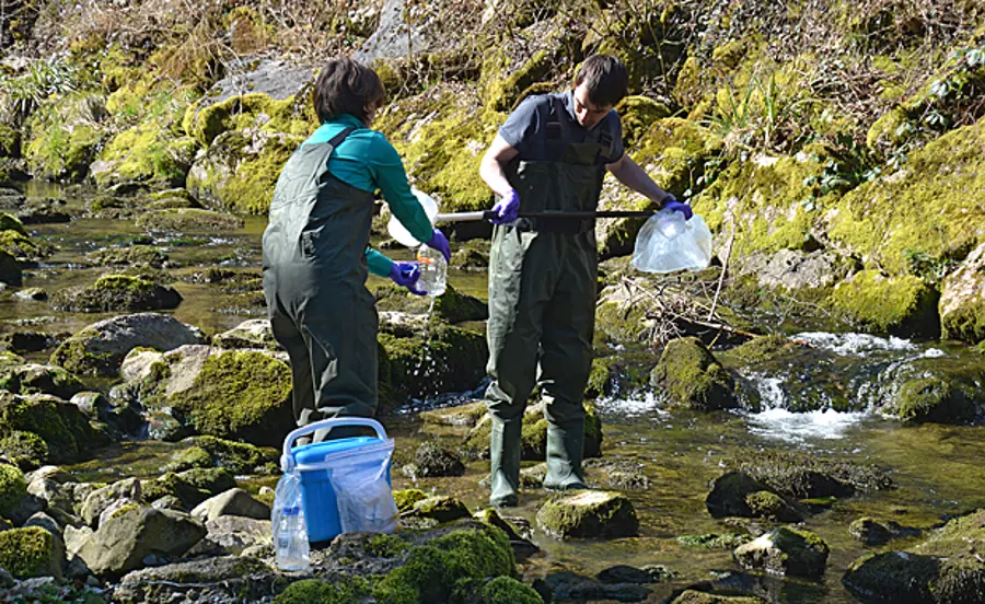 Biomarkers in rainbow trout for assessing harmful chemical effects in surface waters