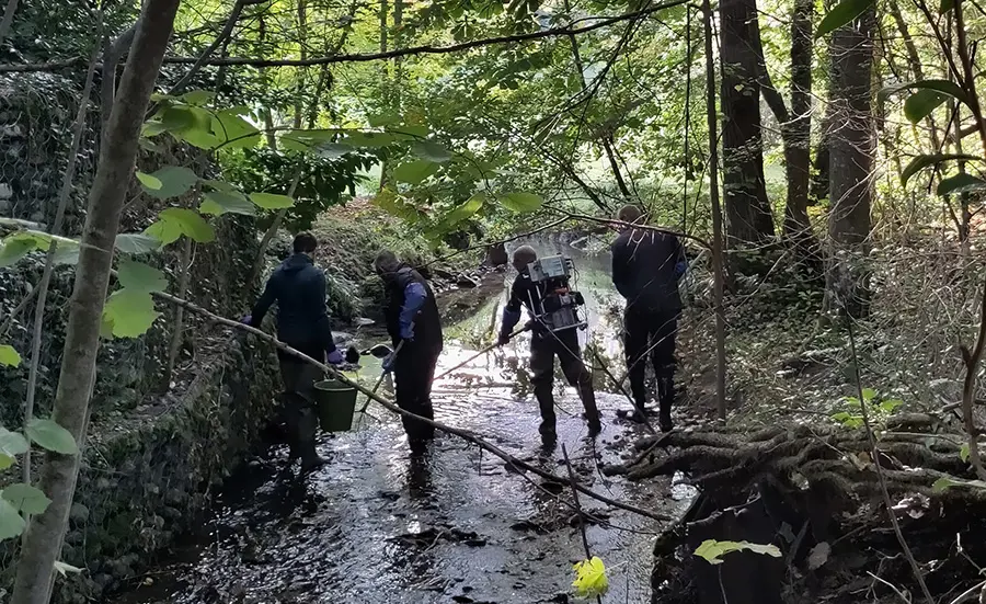 Why did the trout in the Ruisseau des Marais disappear? A search for clues using ecotoxicological methods