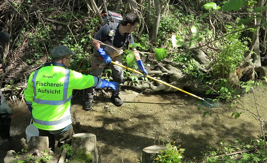 Assessment of water quality with biomarkers in brown trout