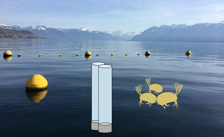 Dynamic pollutant carriers: The quality of suspended matter in Lake Geneva