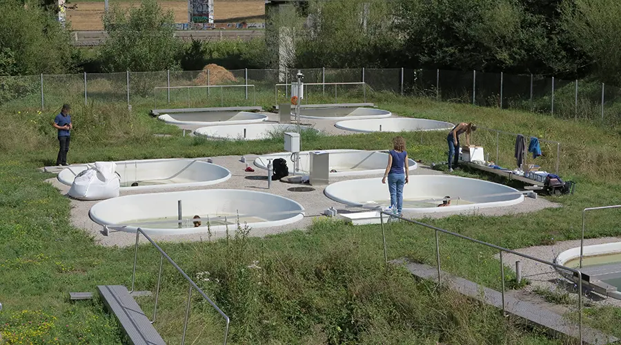 Sunscreen and bathing lakes: what happens to UV filters in Swiss lakes and experimental ponds?