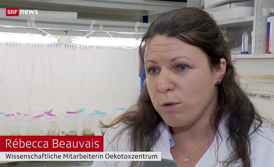 Ecotox Centre in SRF Schweiz aktuell on the contamination of sediments