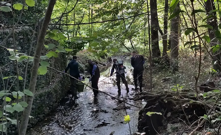 Assessment of the water quality of the Ruisseau des Marais 