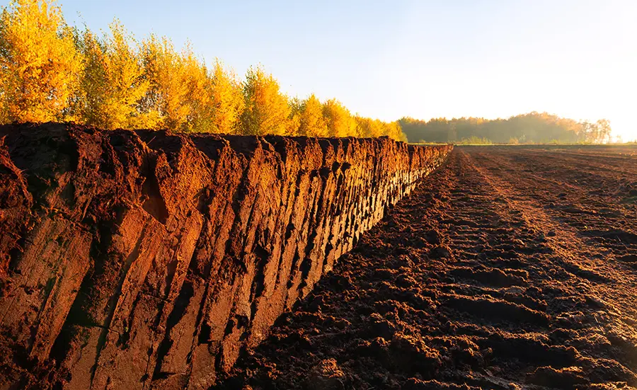 Replacement of peat in artificial soils and sediments