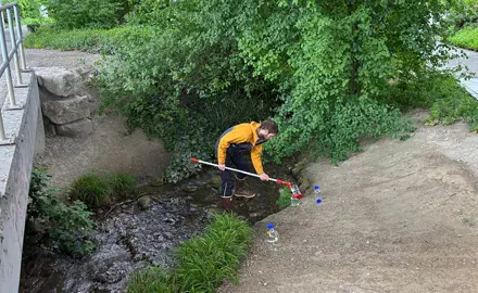 Ecotoxicological analysis of samples from watercourses near roads in the city of Zurich